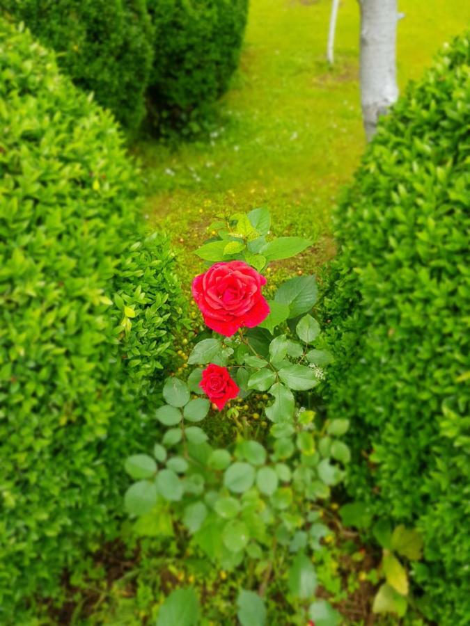 Apartment Paradise Enver Dubrave Gornje Esterno foto